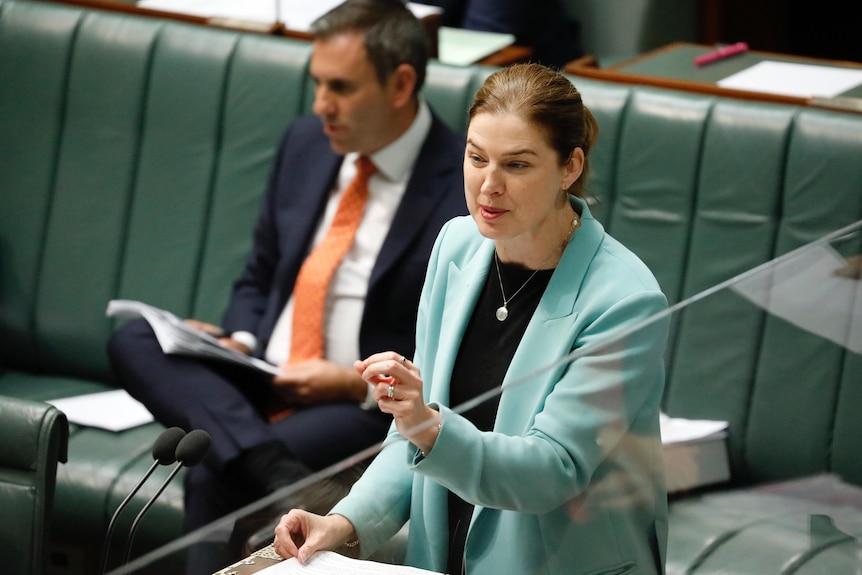 Julie Collins points while speaking in the house of representatives