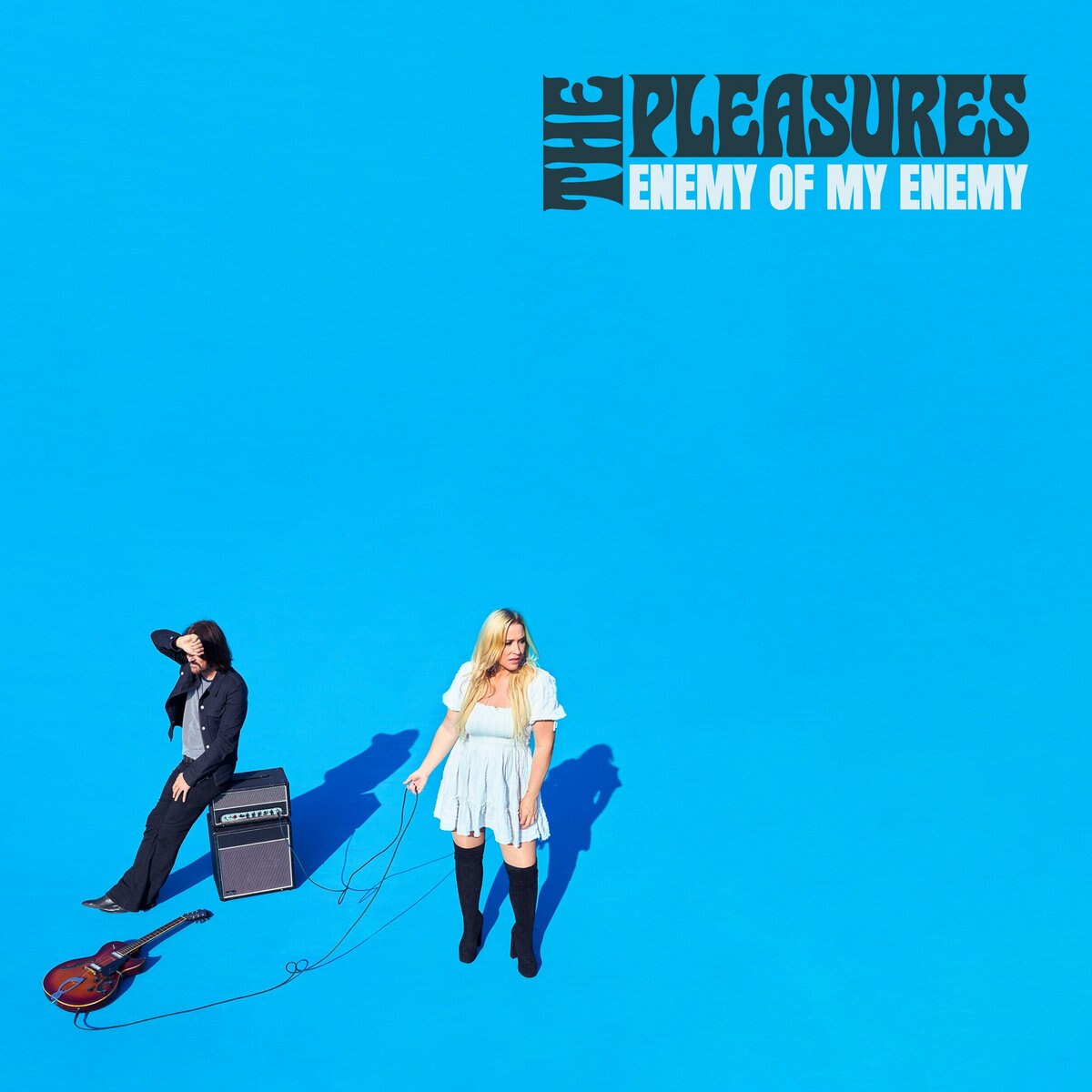 The Pleasures 'Enemy Of My Enemy' Album Artwork