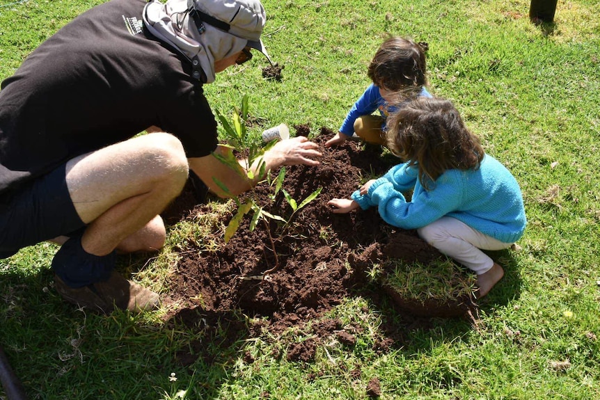 An adult man shows two children how to plant a tree. 