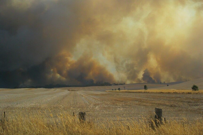 A shot of harvest crops with hills far in the background. Smoke from the fire has almost completely blocked out the sky.