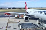 A Qantas jet on the tarmac at Adelaide airport.