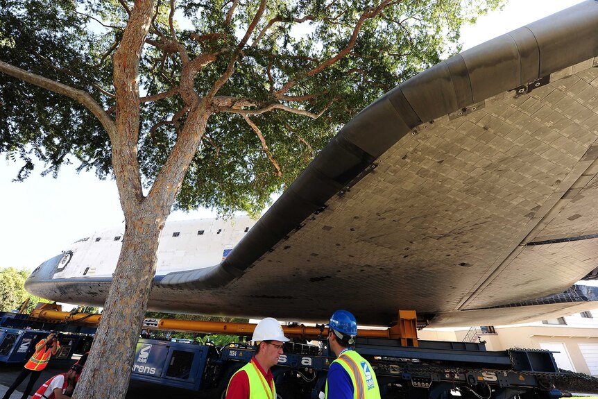 A tree brings Endeavour to a halt on an LA street.