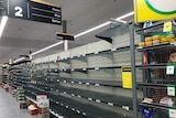 Empty supermarket shelves at Woolworths.