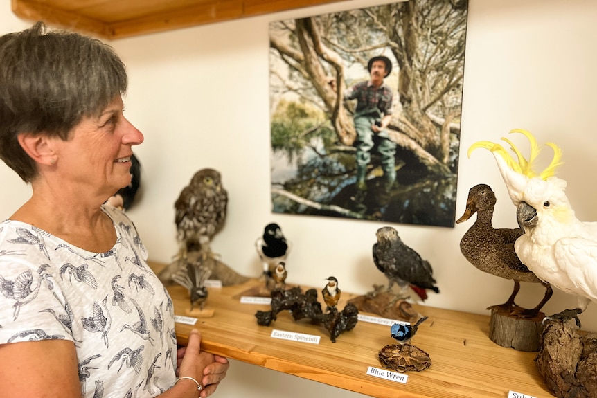 A woman looks on at a photo of her father sitting in a teatree at Bool Lagoon