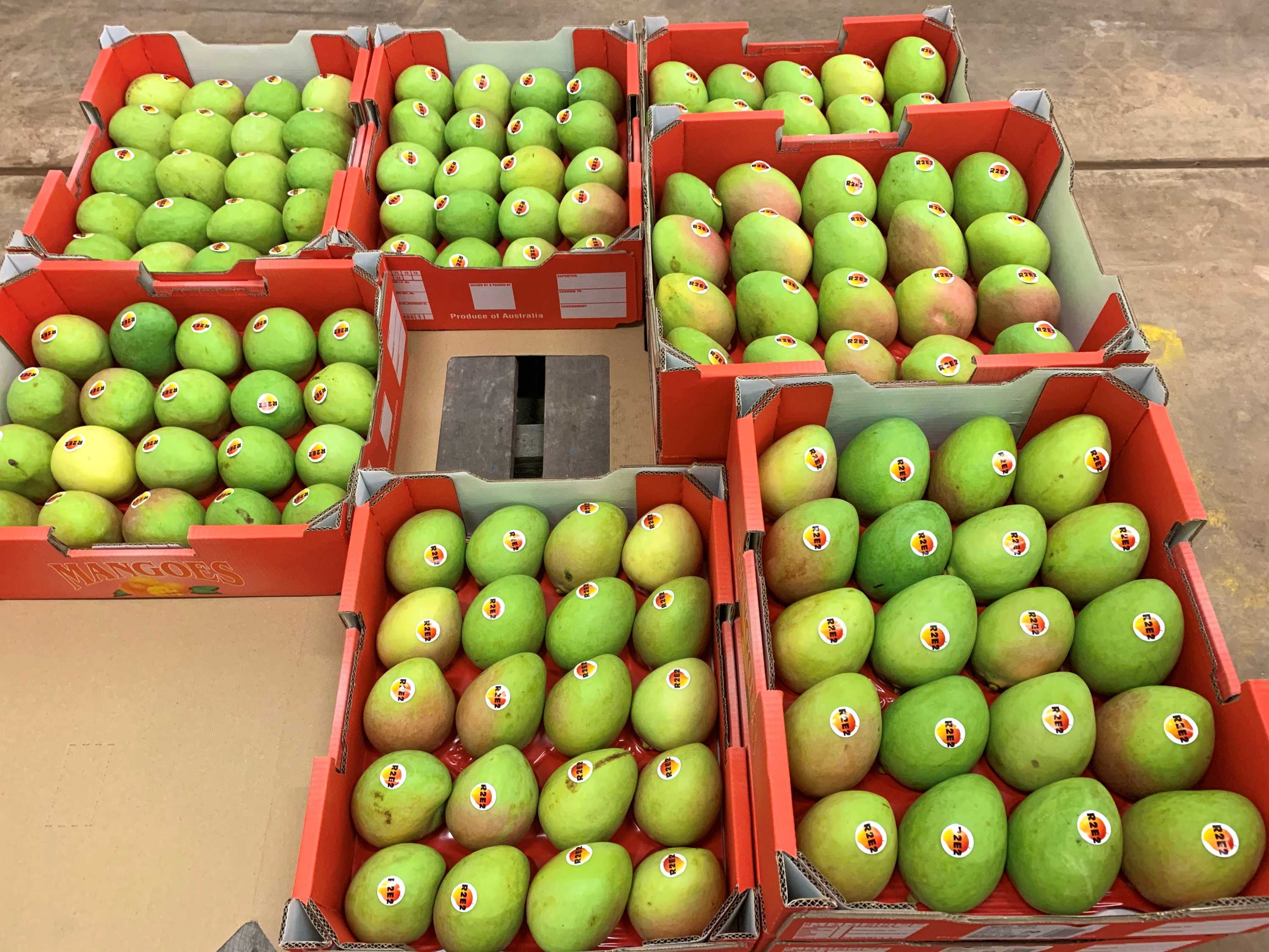 Mangoes in short supply out of West Australia as Ord Valley production