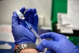 A pair of gloved hands uses a syringe to measure a vaccine.