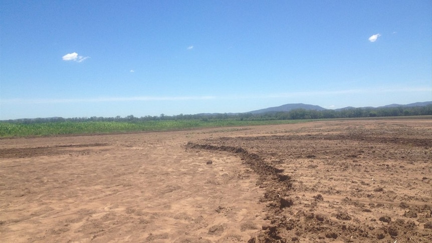 Many central Queensland crops have been wrecked by torrential rain and flooding
