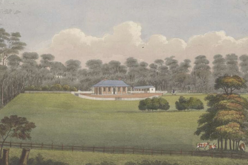 A hand-coloured image depicting Burwood Villa, a house surrounded by trees.