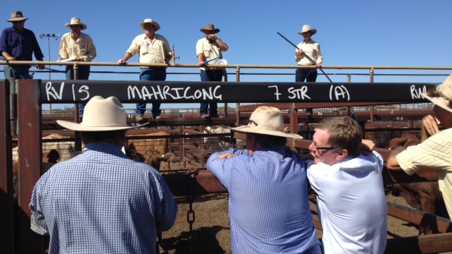 Latest start to Longreach sale in 15 years