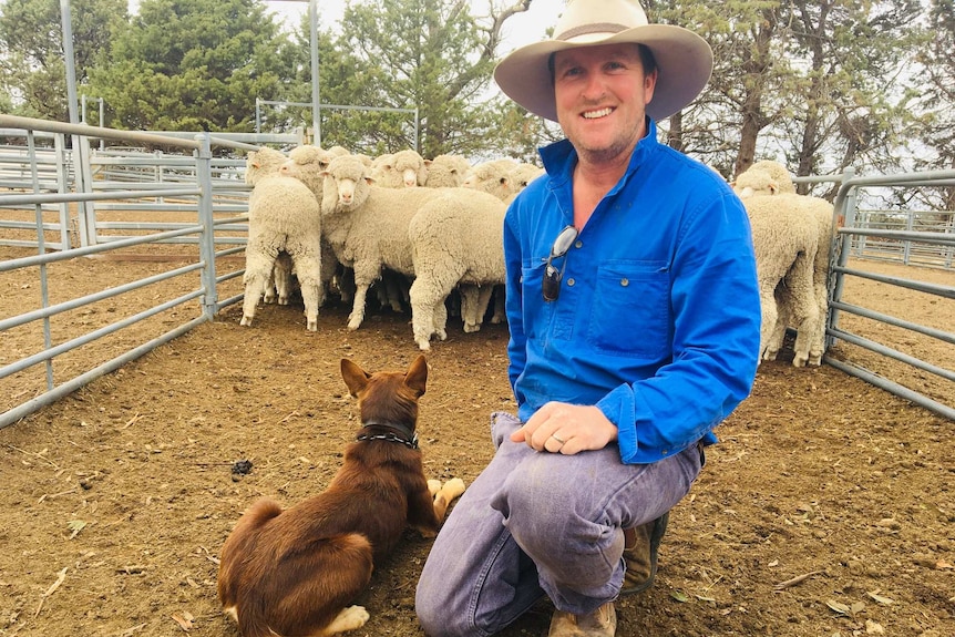 A man and his dog crouch down in front of sheep