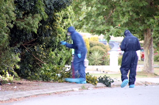 Police in blue forensic suits examining bushes by the side of a road.