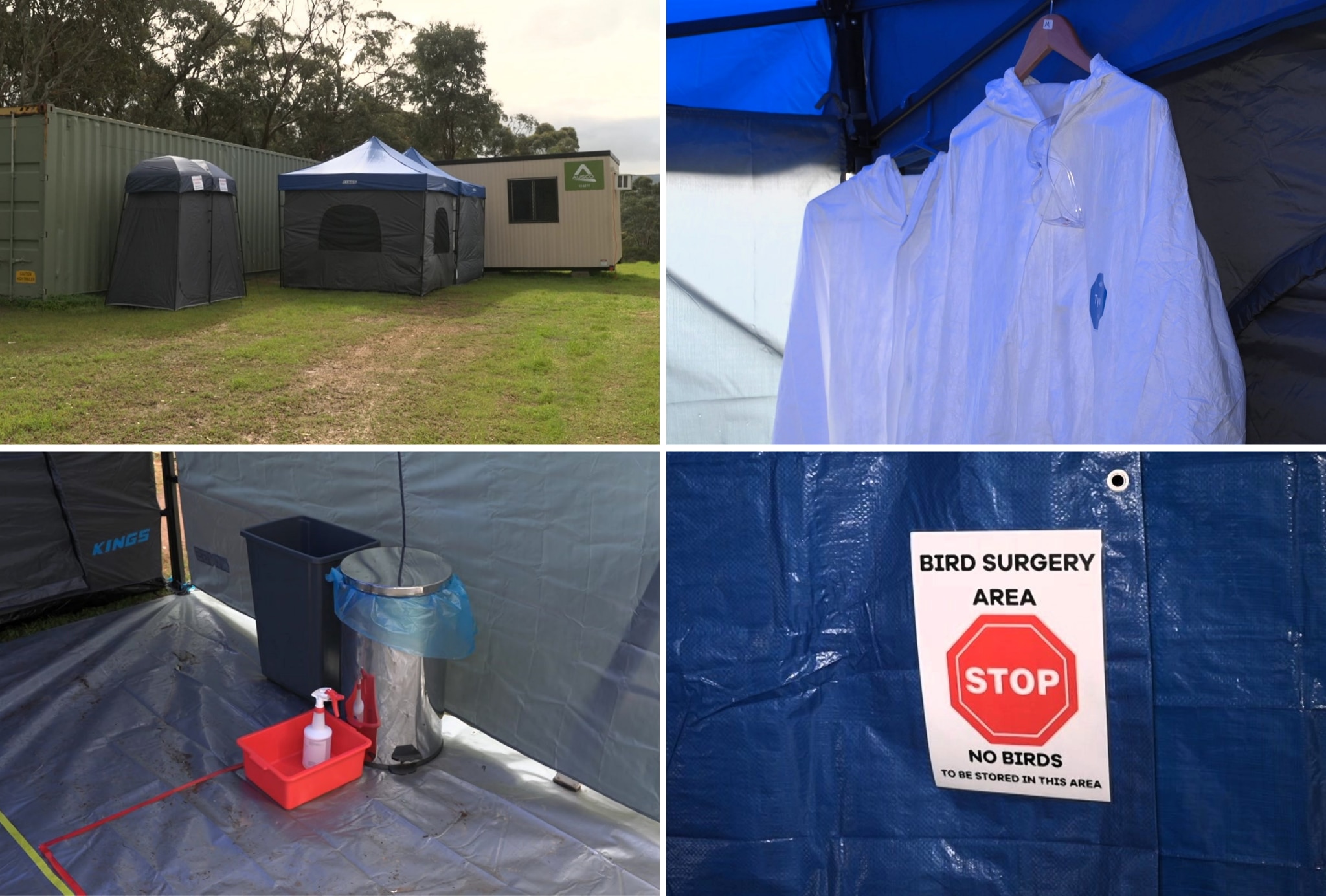 Tents and a transpotrable building, personal protective equipment, bin and cleaning spray, sign that reads bird surgery area