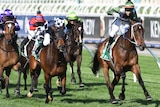 Incentivise, with a jockey in green and white silks, runs in front of other horses