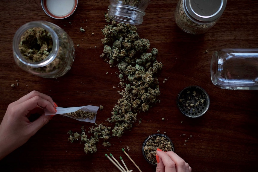 The marijuana is spread out on the table, a joint is half rolled, and there are glass jars around.