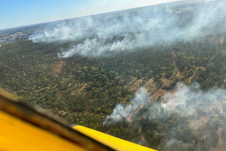 Aerial view of smoke from a forest fire. 