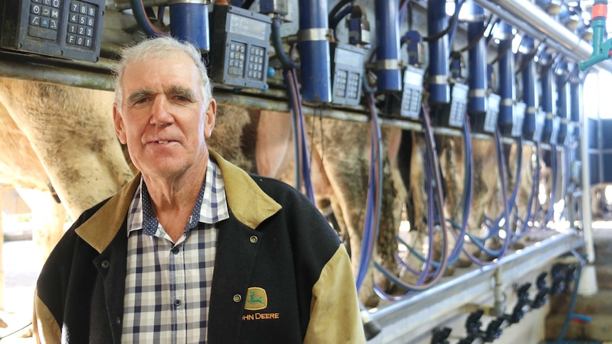 Queensland dairy farmer David Janke stands in his dairy while the cows are being milked behind him.