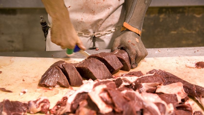 A worker slices feral camel meat