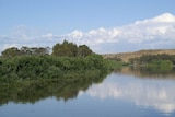 Tranquil Murray River