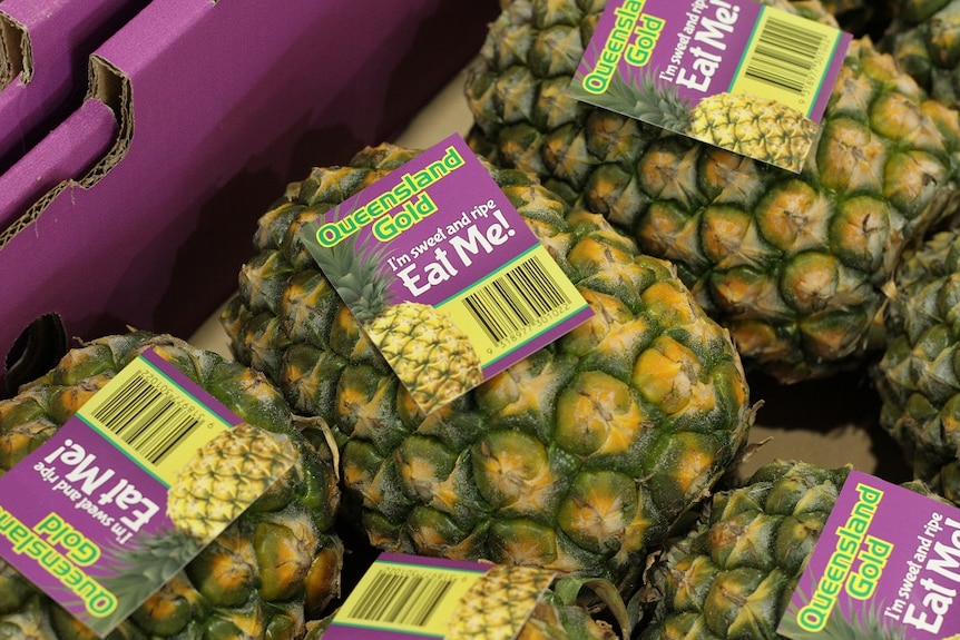Pineapples tagged and ready for sale in a box