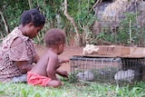 Woman and child sit in front of guinea pig cage.