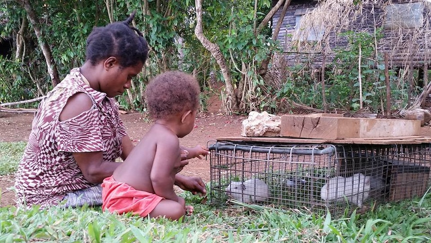 Woman and child sit in front of guinea pig cage.