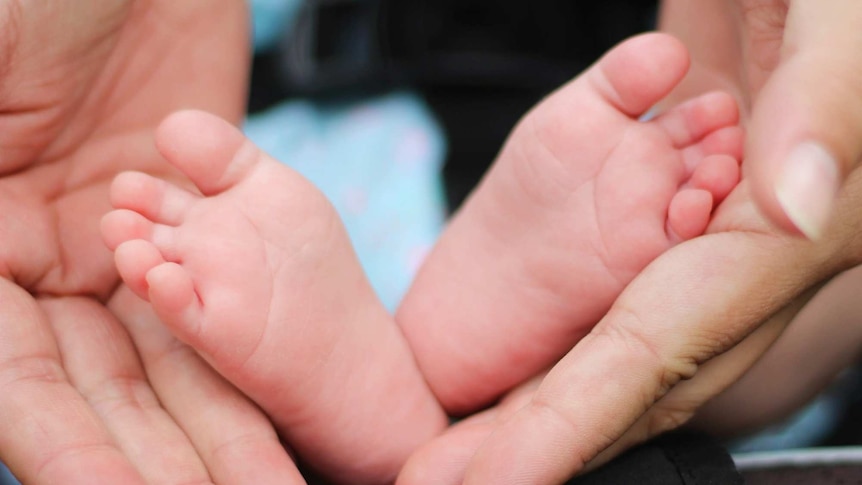 baby's feet in a mother's hands