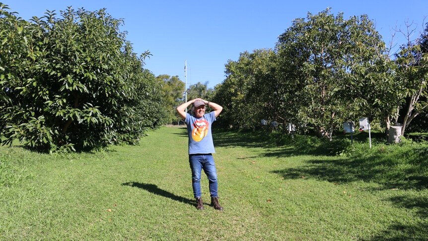 Organic farmer Michael Hogan stands between his avocado trees with his bands folded on his head.