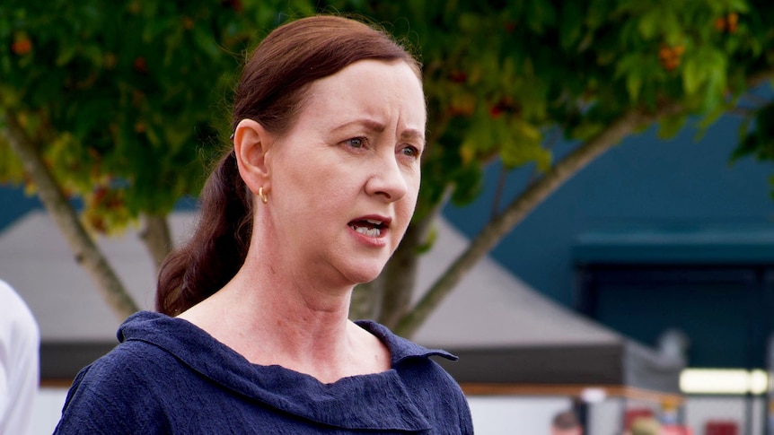 Queensland Health Minister Yvette D'Ath speaks at a media conference.