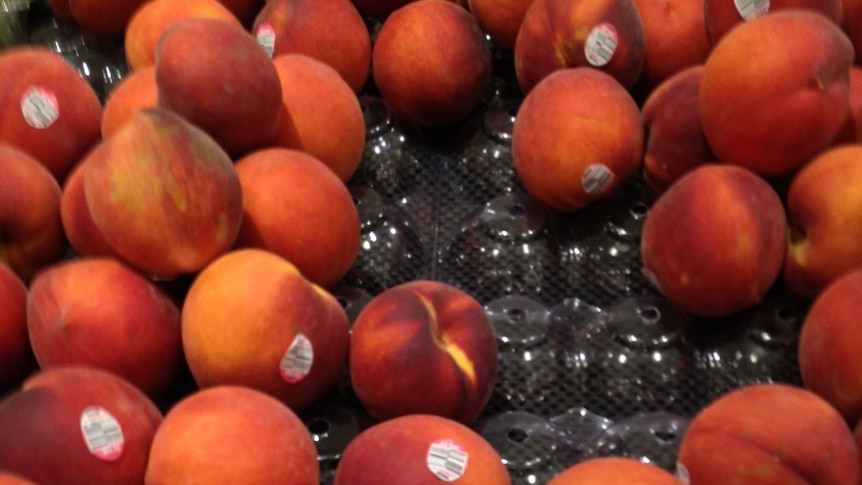 USA peaches for sale on Australian supermarket shelves.