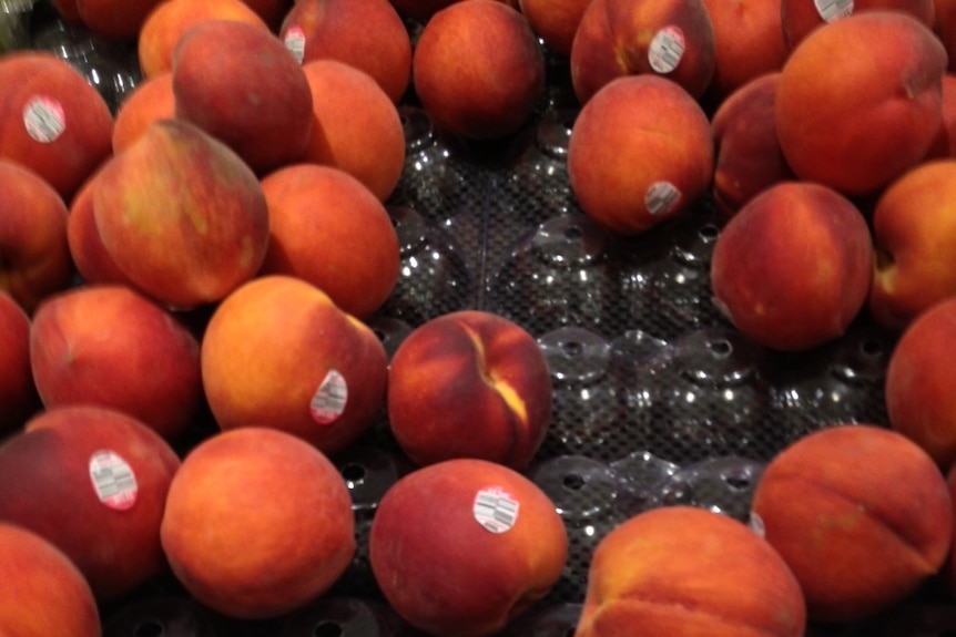 USA peaches for sale on Australian supermarket shelves.