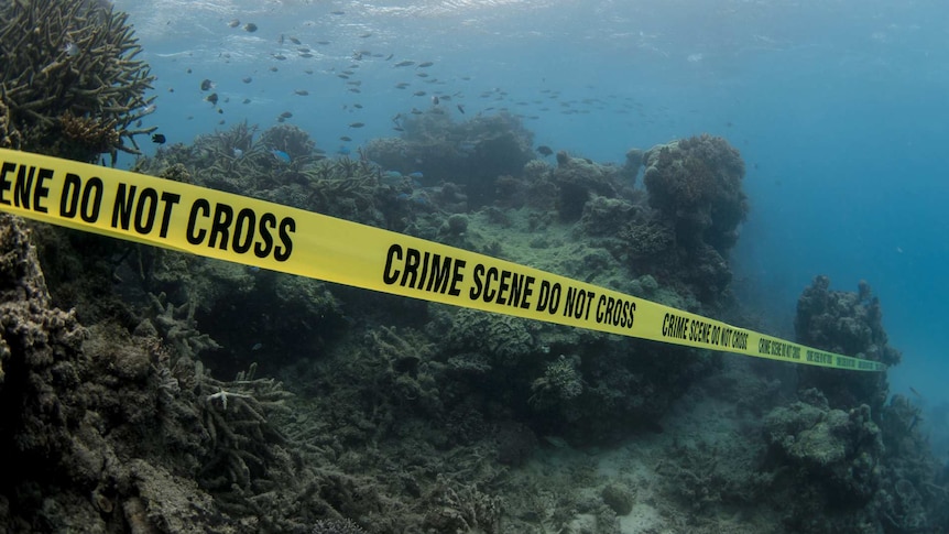Crime scene tape is strung across coral on the Great Barrier Reef during a protest