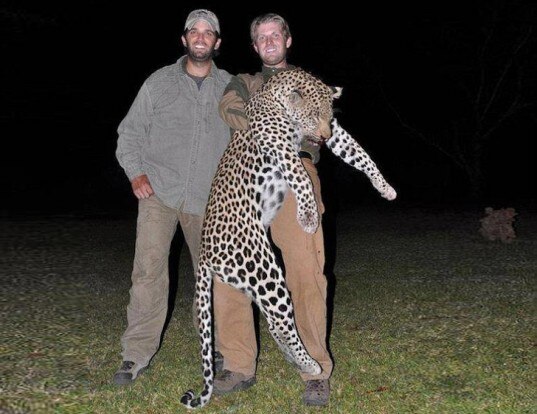 Trump sons in trouble over Zimbabwe hunt - ABC News