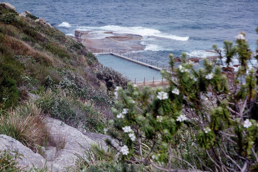 North Curl Curl ocean pool on Sydney's northern beaches.