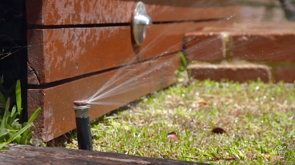 A lawn with an inbuilt sprinkler running.