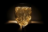 Glass of champagne, focusing on the bubbles in the glass.
