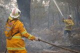 Two firefighters wear protective yellow gear and white helmets as they spray water on trees in bush.