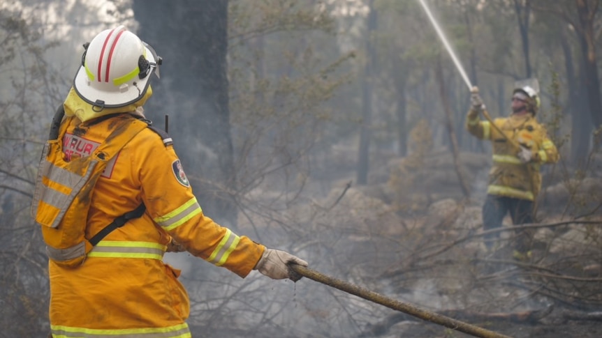 Two firefighters wear protective yellow gear and white helmets as they spray water on trees in bush.