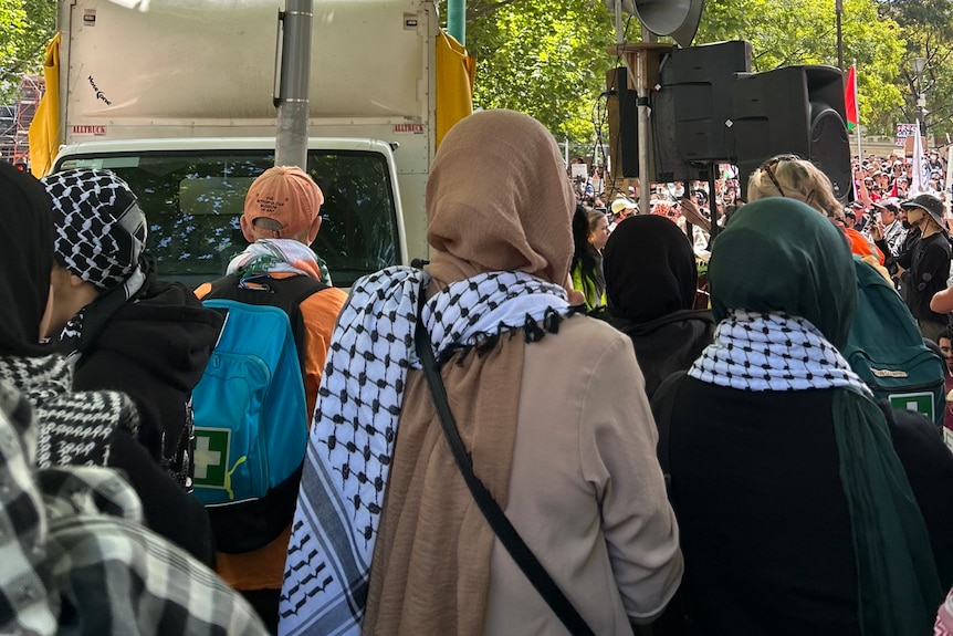 A woman wearing  a hijab is shown from behind, she also wears a Palestinian scarf. 