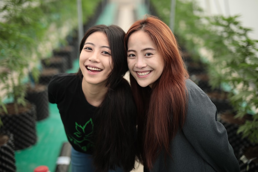 Two women in front of cannabis plants.