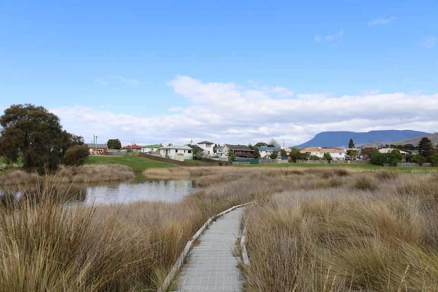 Windermere Bay walking track