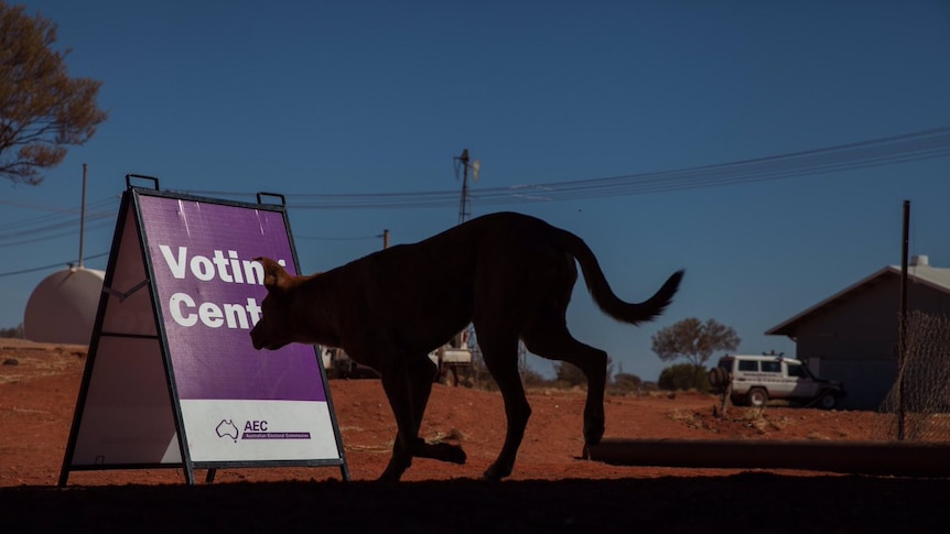 A dog walks past an Australian Electoral Commission sign at a remote polling station.