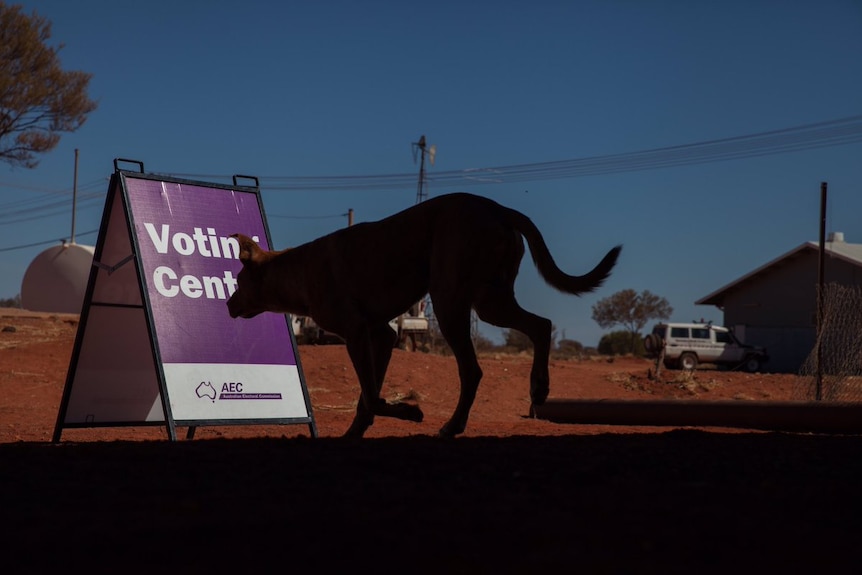 A dog walks past an Australian Electoral Commission sign at a remote polling station.