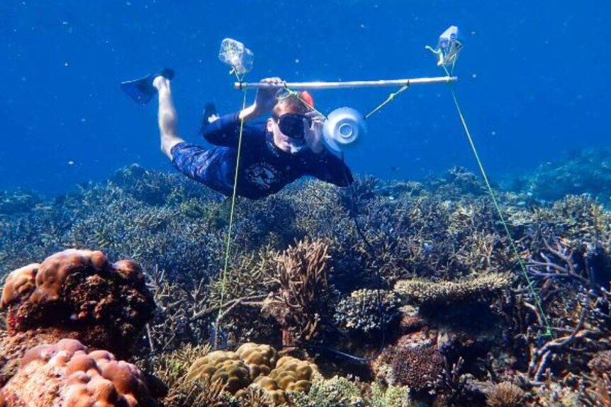 A underwater shot of a snorkeller holding an acoustic apparatus over coral.