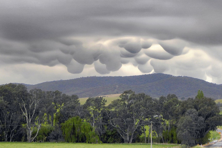 Round balls of clouds droop out of the sky over the mountain range, Oberne Creek NSW