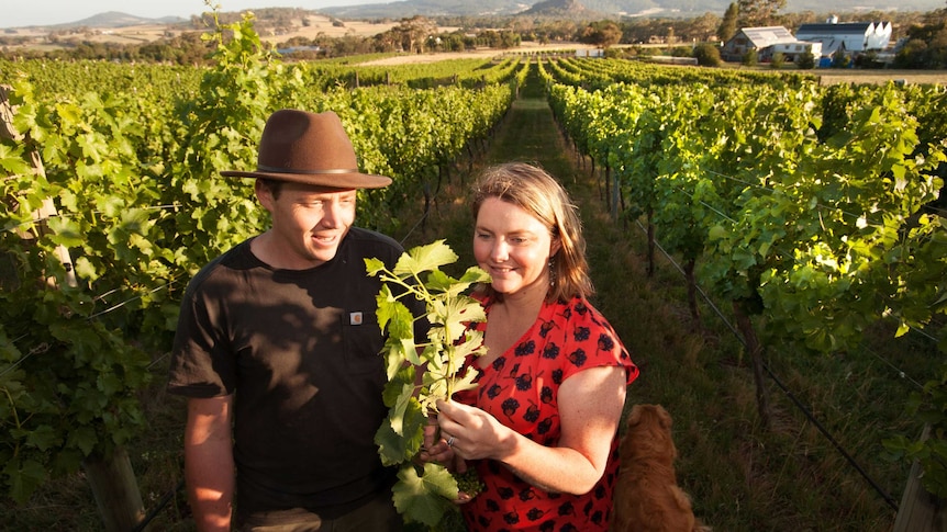 A man and a woman are standing in a vineyard holding a vine facing the camera.