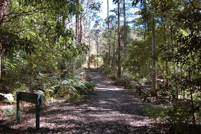 Mount Royal National Park