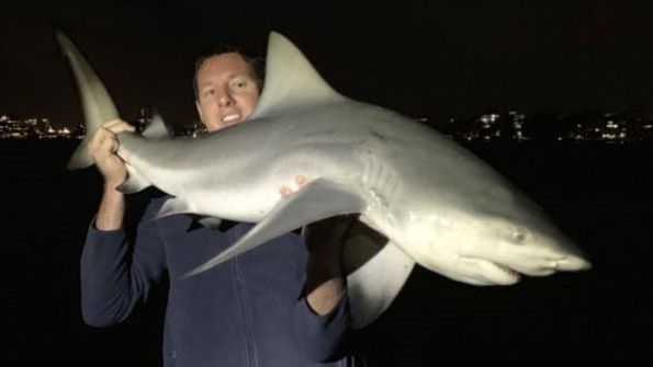 A man holds up a bull shark about 1m long, beside a river at night.