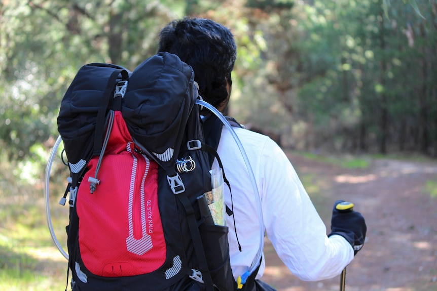 View from behind of man in long-sleeved white shirt with black and red backpack on shoulders as he hikes along a nature path.
