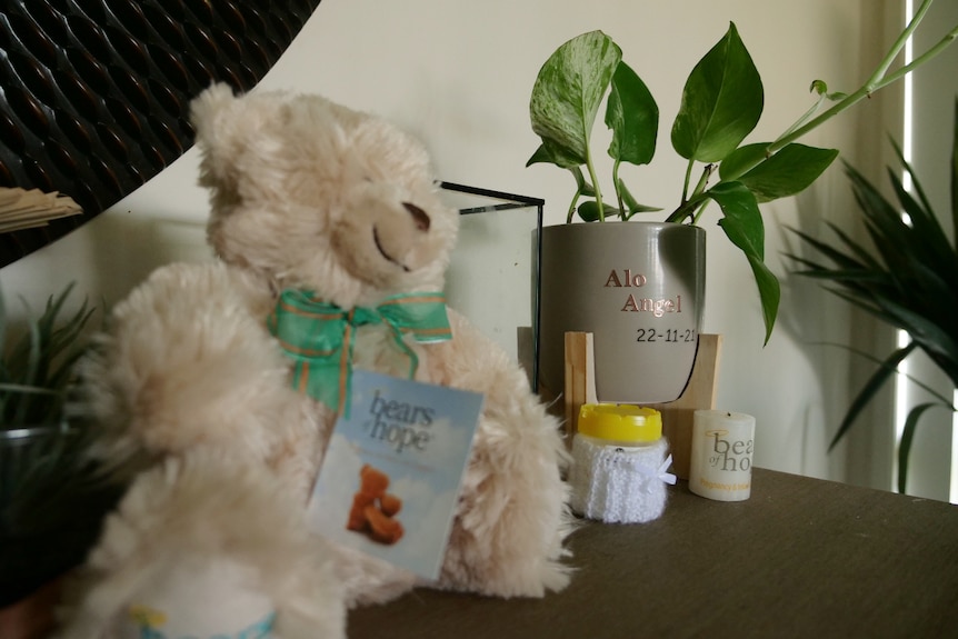 A cream teddy bear with a little tag 'bears of hope', a specimen jar with white cover, yellow lid, pot plant 'Alo Angel'.