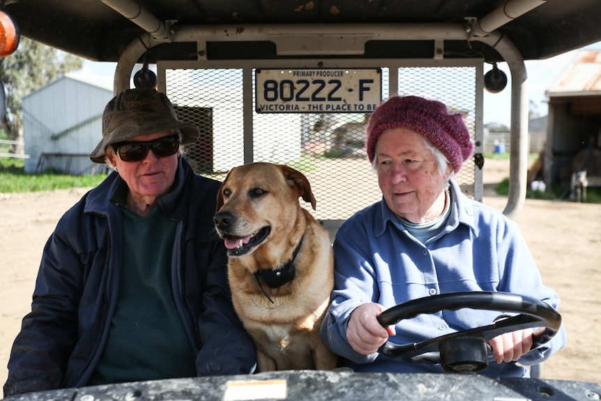 Diana, along with Clover drive Harry around the farm in their golf buggy.